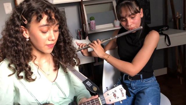 🌟A MILLION DREAMS🌟 -The greatest showman, the movie- Ukulele & flute cover смотреть онлайн
