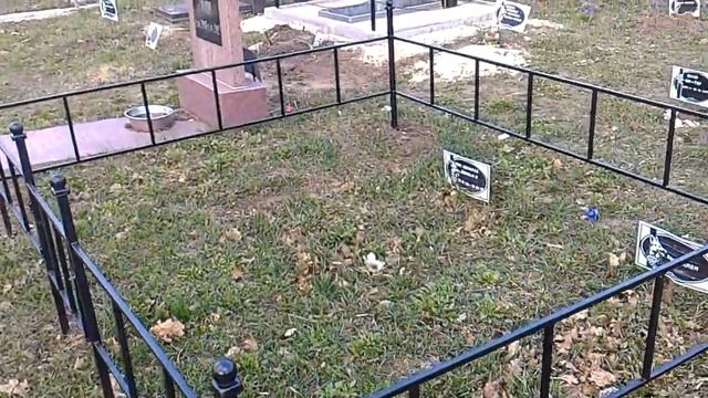 Кладбище для животных. Единственное в Украине смотреть онлайн
