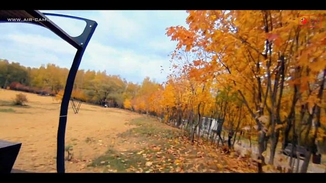 г.Балашиха мкр.Заря | Золотая осень 2019 смотреть онлайн