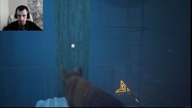 ИГРА ГЛАЗАМИ КОТА СЛОМАЛИ ЛАПКУ ➤ Stray #1 ➤ TITAN INC смотреть онлайн