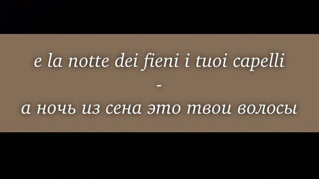 ЧТЕНИЕ НА ИТАЛЬЯНСКОМ ДЛЯ НАЧИНАЮЩИХ 14 ТЕКСТ| Итальянский чтение смотреть онлайн