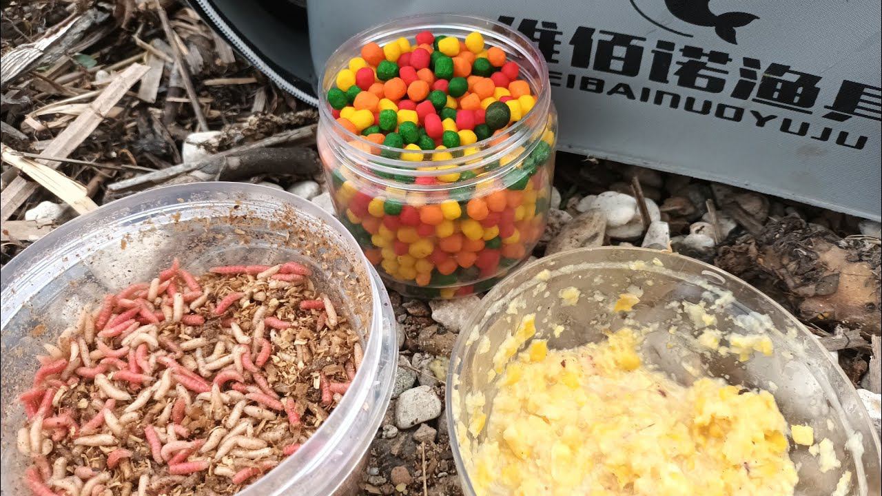 РЫБАЛКА В ИЮНЕ НА ФИДЕР. КАРАСЬ. САЗАН. ЛЕЩ В ЗАТОНЕ РЕКИ смотреть онлайн