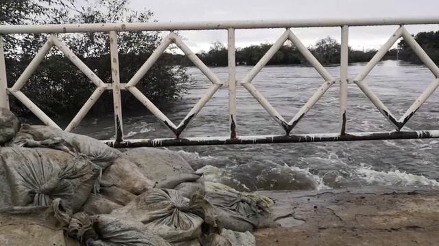 Мотострелки ВВО смогли удержать паводковые воды реки Амур в селе Ленинском в ЕАО смотреть онлайн