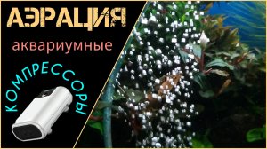 Аэрация. Масштабный обзор аквариумных компрессоров.