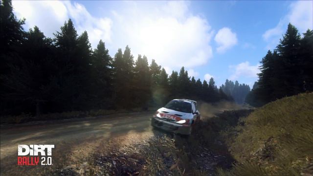 Dirt Rally 2.0 - Peugeot 206 WRC Richard Burns - Scotland Rally Stage