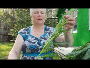 Выпекала батоны . Готовила обед. Ездили за Иван-чаем.