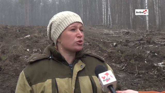 В Мелекесском районе начался сезон восстановления леса смотреть онлайн