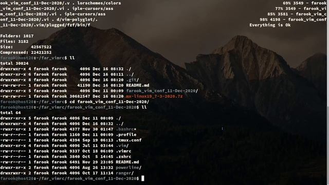 get my dot file config back (Video 5) смотреть онлайн