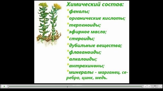Родиола розовая Лечебные свойства смотреть онлайн