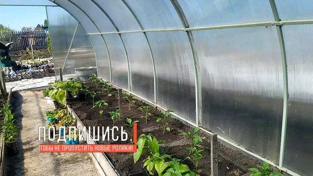 #Обзор #дачи 16 #мая 2021 г. смотреть онлайн