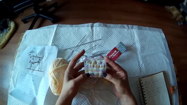 Летний свитер для Йоркширского терьера часть 1 смотреть онлайн