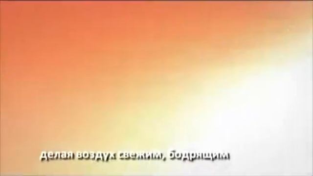 Мойка воздуха Venta для детей смотреть онлайн