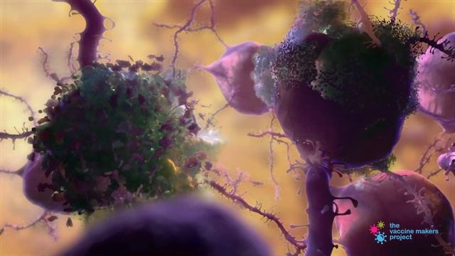 How do Antibodies Work? смотреть онлайн