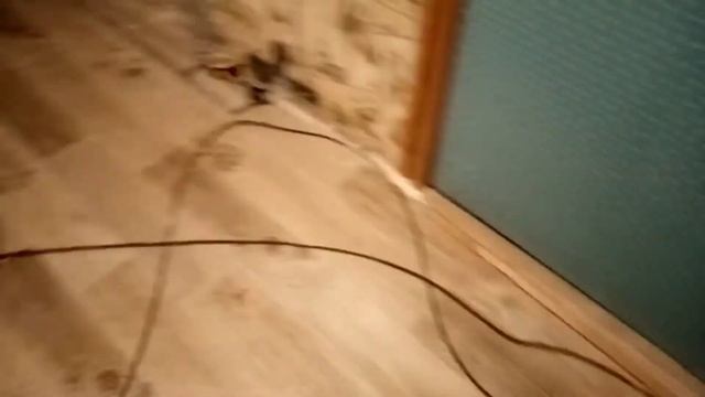 Обои малярные работы клеим коридор. Старый фонд ремонт квартиры в Воронеже Шпатлевка грунтовка обои смотреть онлайн