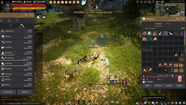 Part 33 | Gathering with Beginner Alt | Beginner to Professional +100 millions? | Daily Bdo Gathere смотреть онлайн