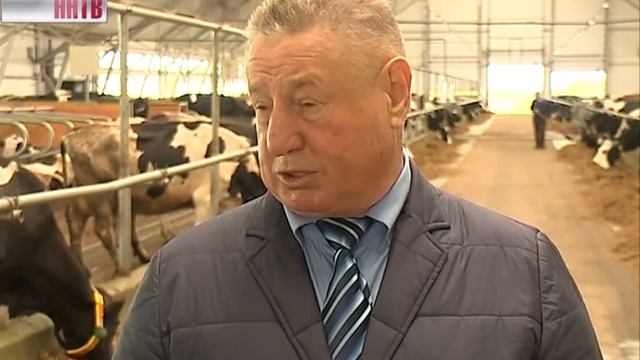 Господдержку сельского хозяйства в Нижегородской области увеличат смотреть онлайн