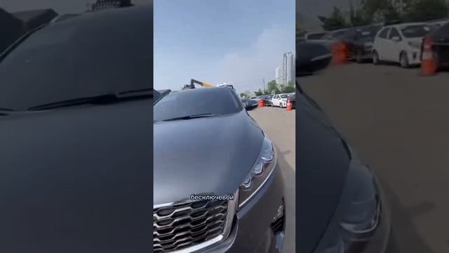 Выкупили Kia Sorento из Южной Кореи #автоизкореи смотреть онлайн