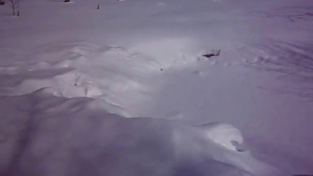 Глубина пруда для карпов. смотреть онлайн