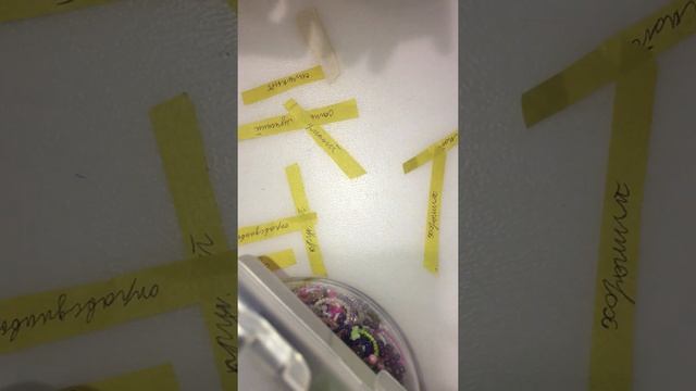 подарок папе за 5 мин,(или маме смотреть онлайн