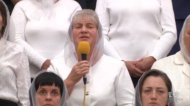 Полночь в полдень плыла над землёй / Стихотворение смотреть онлайн
