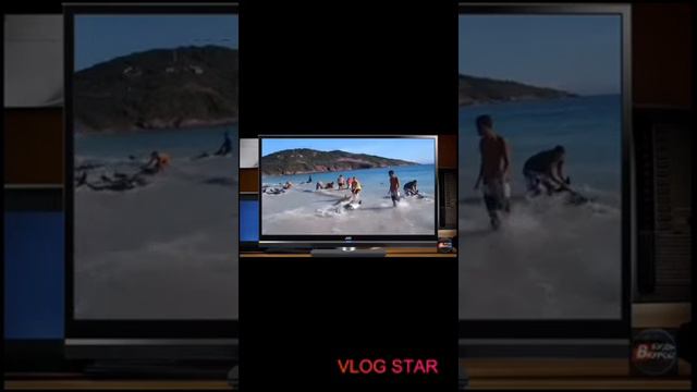 Если вы будете помогать животным и они вам помогут! смотреть онлайн