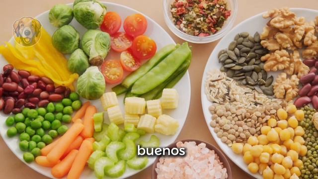 La DIETA BARF explicada en menos de 5 minutos 🕒 смотреть онлайн