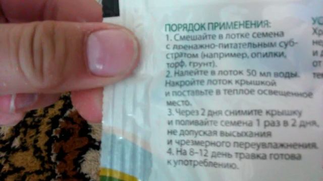 Как я сею семена травки для попугаев?;) смотреть онлайн