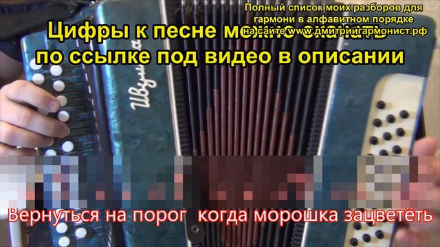 Морошка разбор смотреть онлайн