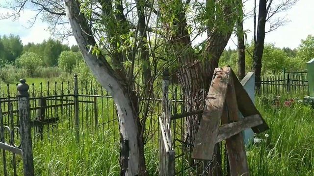 Посёлки Ленинский и Новоникольский Брянская область Выгоничский район Орменский сельсовет