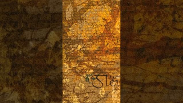 Тёплые коты) Караоке! #простопой смотреть онлайн