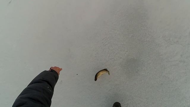 Ловля щуки плотвы уклейки красноперки. Последний лед смотреть онлайн