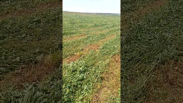 Косилка до мототрактора смотреть онлайн