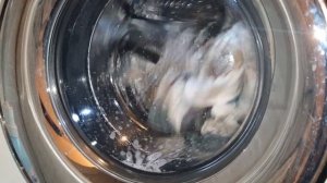Haier 7.5kg Washer Cotton 40 1200 Cycle