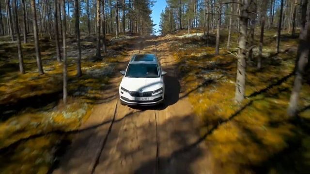 Škoda Karoq - driving footage смотреть онлайн