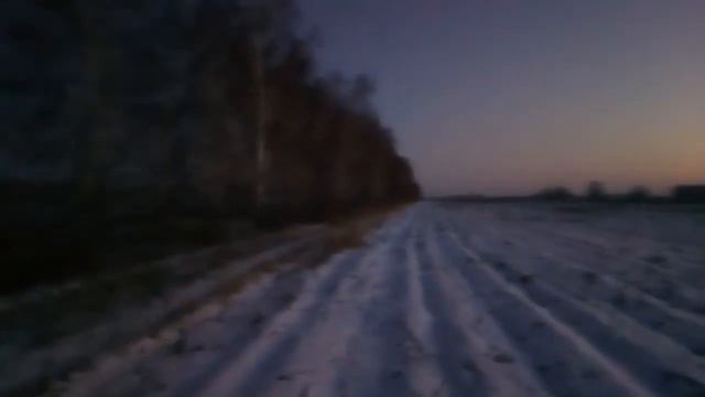 Реалити шоу от щенка к гончей! Выжлец и выжловка в смычке, пробный напуск! Ноябрь. Бонус выпуск 1