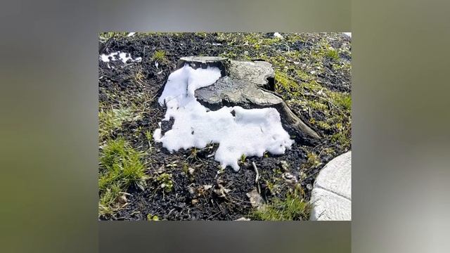 Вірш. Стих. Вера твоя спасла тебя смотреть онлайн