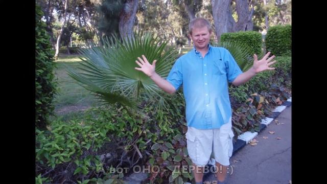 Александрия, отель Helnan Palestine и парк Монтаза - слайд шоу смотреть онлайн