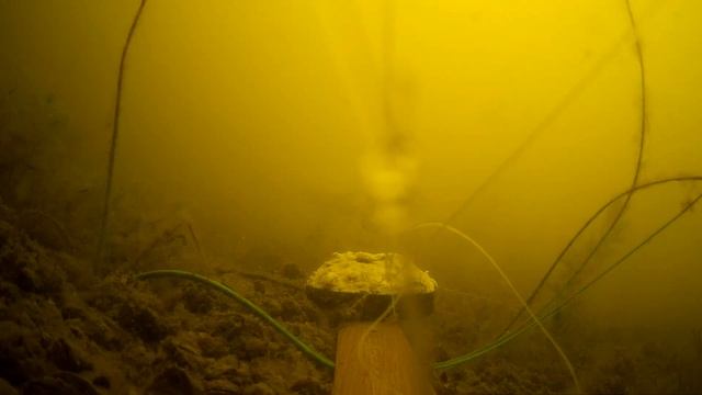 МАНКА С КОШАЧЬИМ КОРМОМ, ЛЕЩ, ОКУНЬ, РЕАКЦИЯ РЫБЫ, ПОДВОДНОЕ ВИДЕО, UNDERWATER FISHING KITEKAT смотреть онлайн