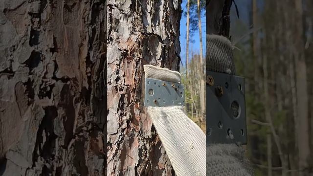 Самодельные качели на опушке леса смотреть онлайн
