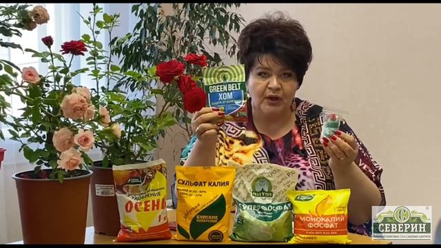 Зеленые удивительности