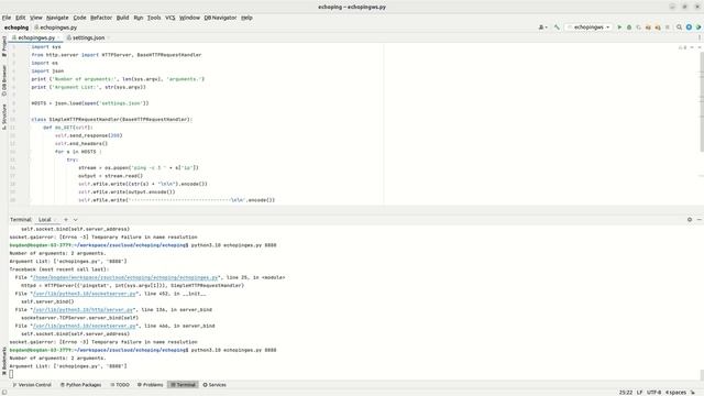 ping python http echo server смотреть онлайн