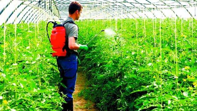 Выбор опрыскивателя. По-взрослому . смотреть онлайн