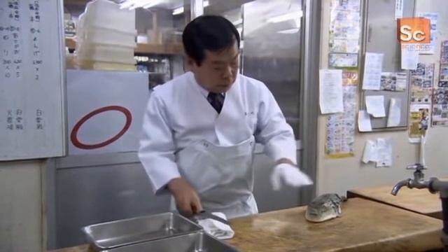 Fugu Fish 3 смотреть онлайн