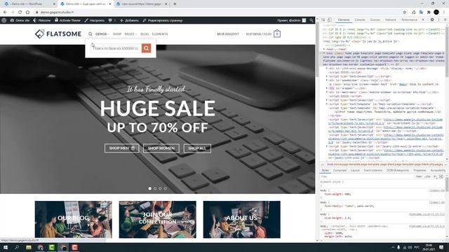 Глобальные настройки шаблона как выводить скрипты в FLATSOME смотреть онлайн