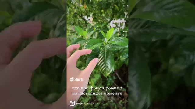 Про осознанность