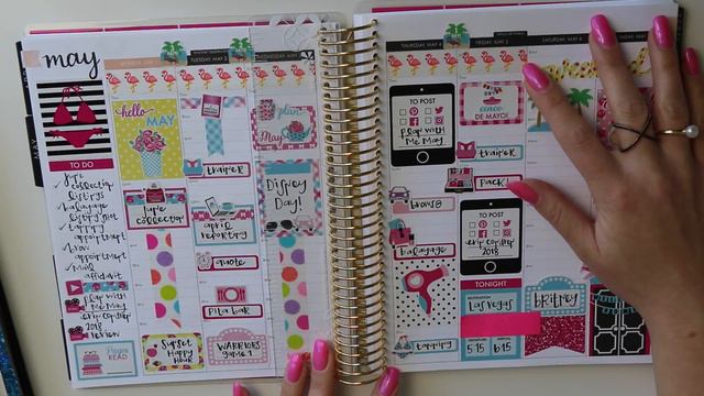 Plan With Me May - Erin Condren Hourly! смотреть онлайн