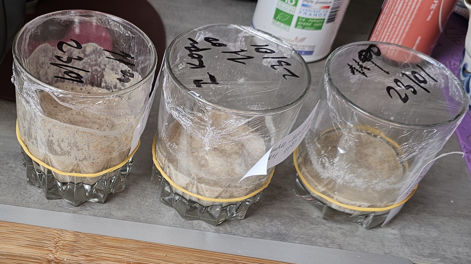 Восстанавливаем и оживляем сухую Закваску за пару-тройку дней.Зря волновалась,это проще простого!