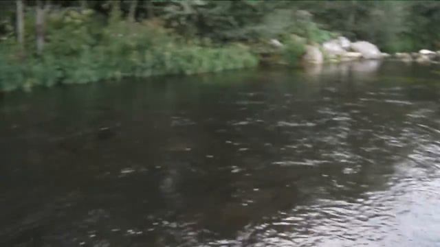 Мой вид спорта.р.Нерехта.Продолжение. смотреть онлайн