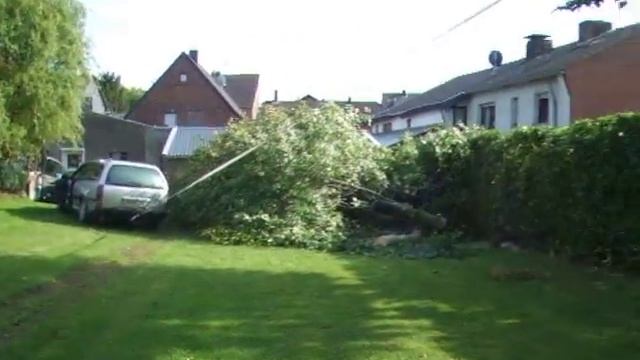 Opel Omega Diesel fällt Baum. смотреть онлайн
