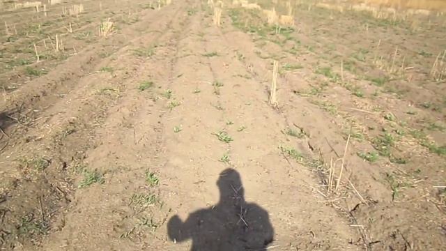 дальность взлета пыж контейнера